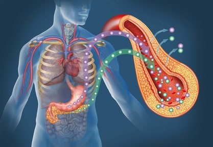 Types of diabetes