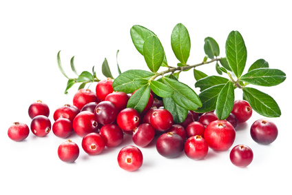 Ripe cranberries with leaves on white background